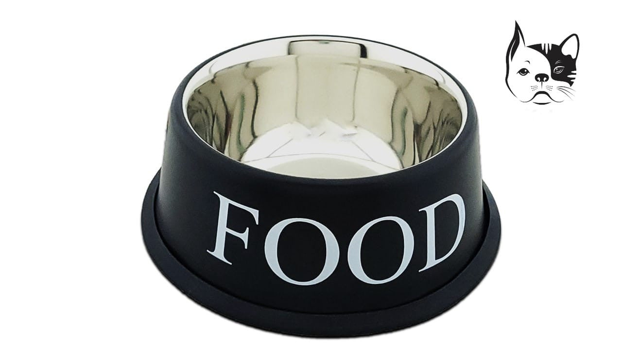 Combo Comedor Mascotas