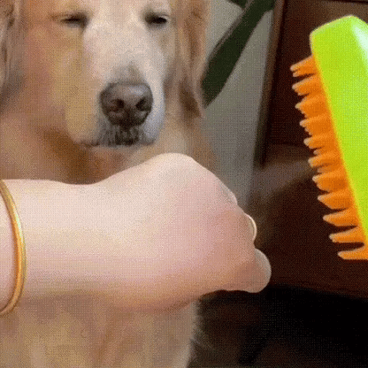 Cepillo De Vapor Para Mascotas